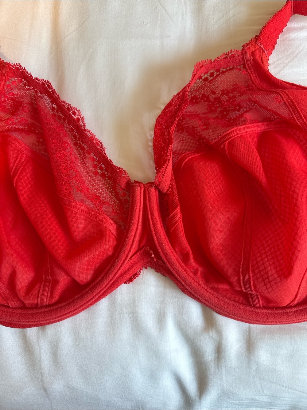 Elomi Charlie Red Lace Underwire Bra - Women Intimates
